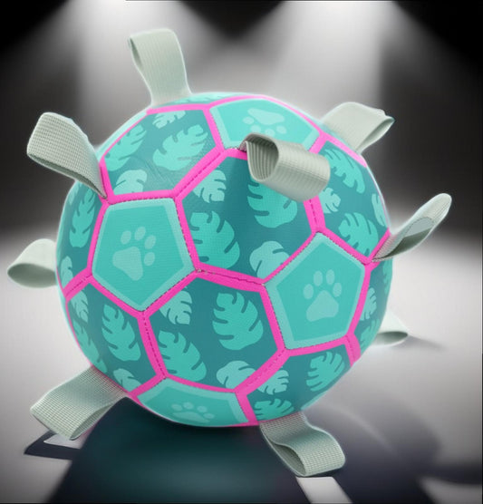 Hundespielball mit Seilen – Für Apportierspaß an Land & im Wasser