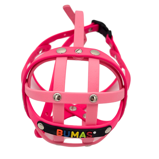 BUMAS Biothane Maulkorb für Französische Bulldogge