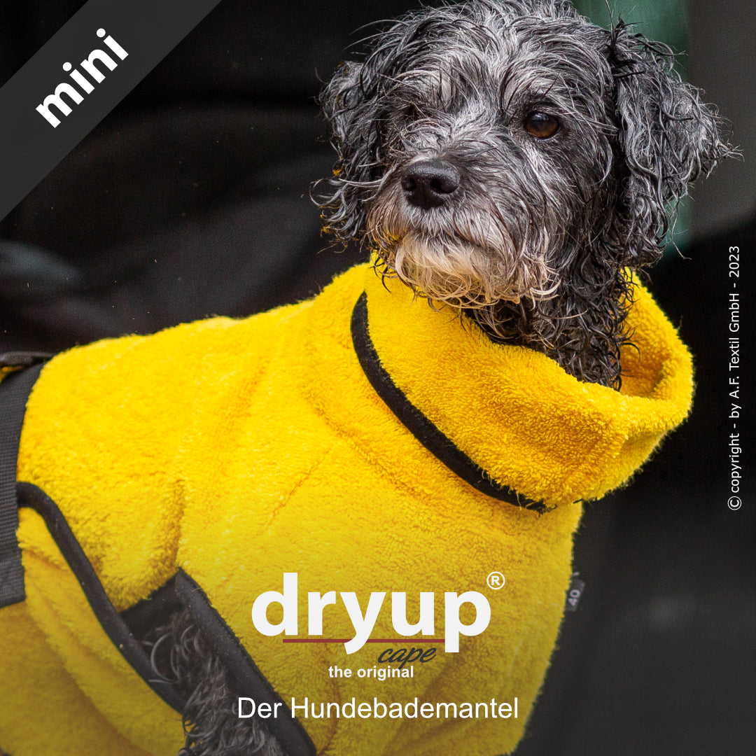 dryup® cape - Der original Hundebademantel - mini