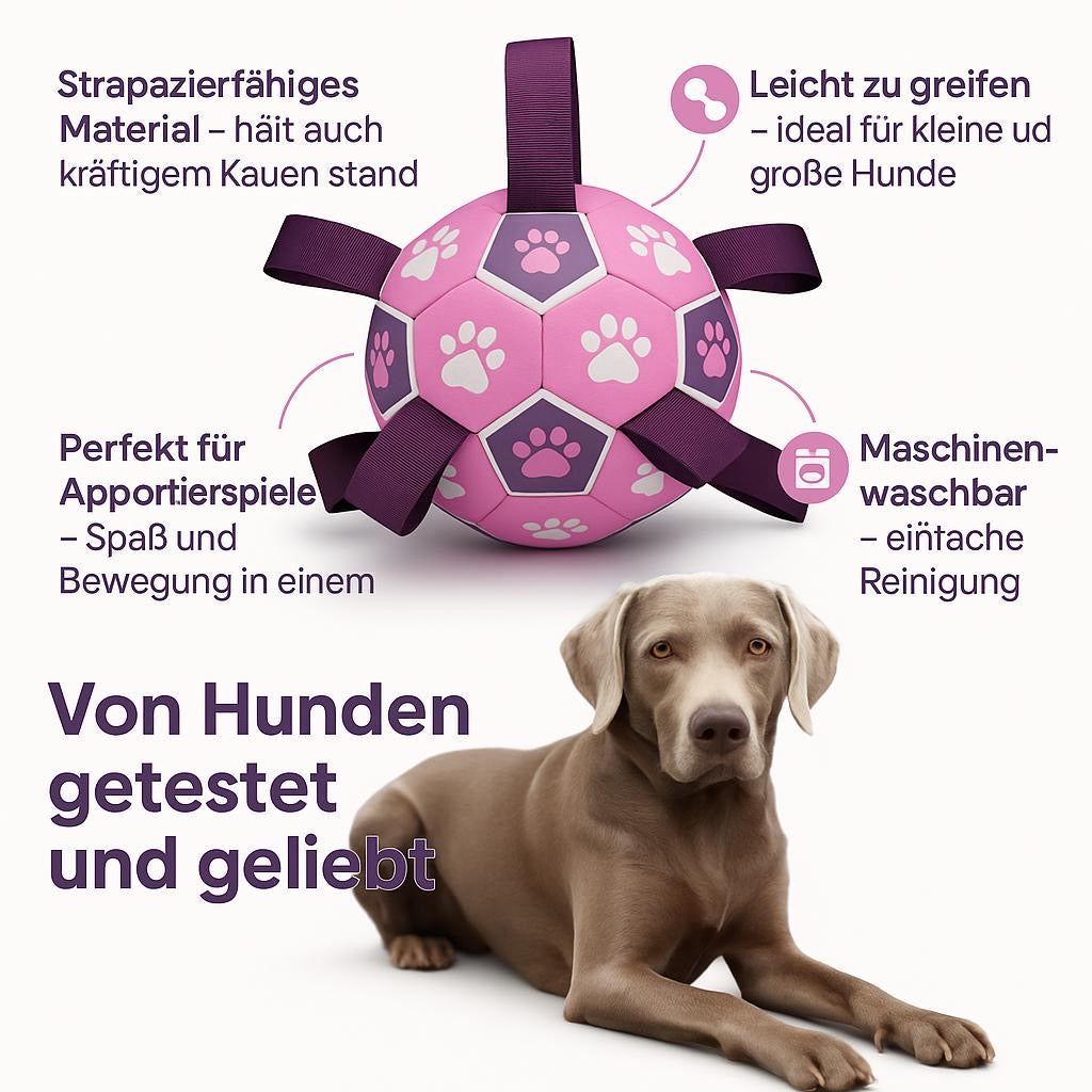 Hundespielball mit Seilen – Für Apportierspaß an Land & im Wasser