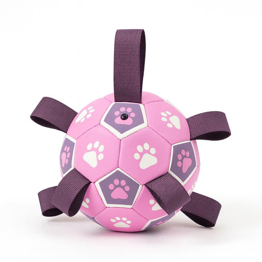 Hundespielball mit Seilen – Für Apportierspaß an Land & im Wasser