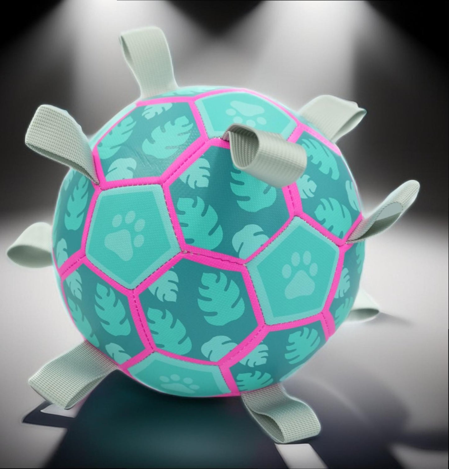 Hundespielball mit Seilen – Für Apportierspaß an Land & im Wasser