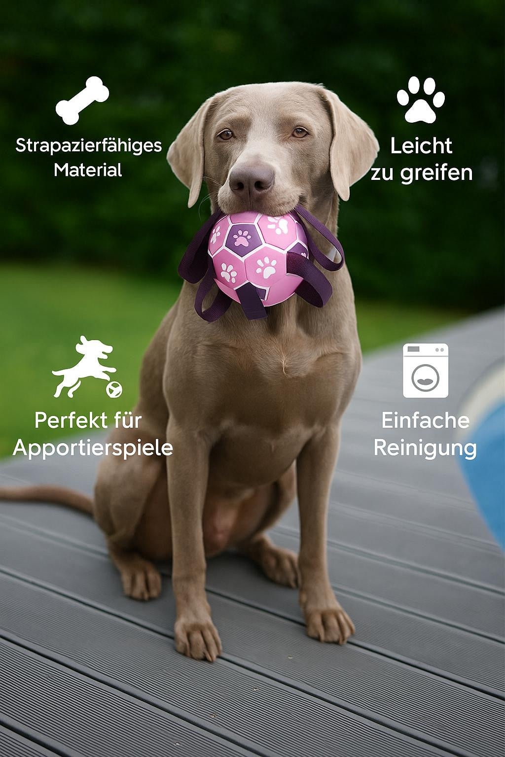 Hundespielball mit Seilen – Für Apportierspaß an Land & im Wasser