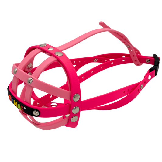 BUMAS Biothane Maulkorb für Französische Bulldogge