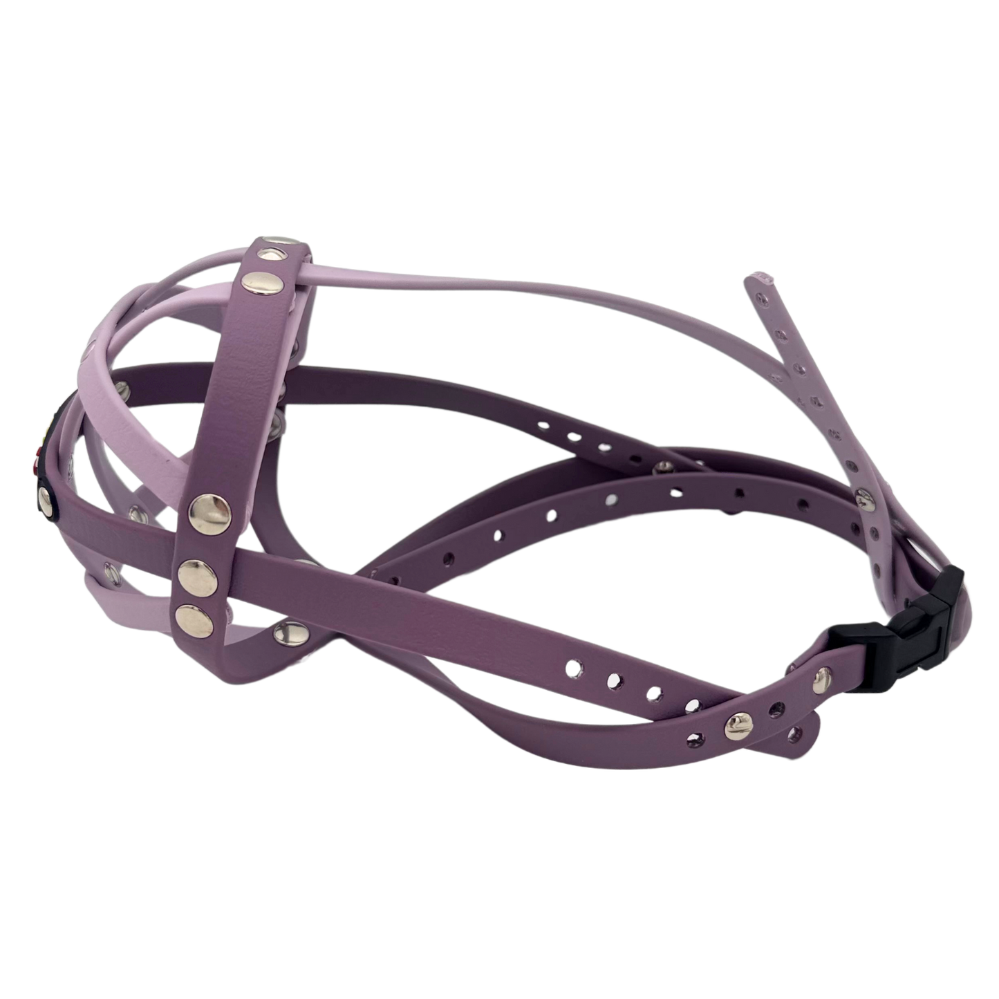 BUMAS Biothane Maulkorb für Cavalier King Charles