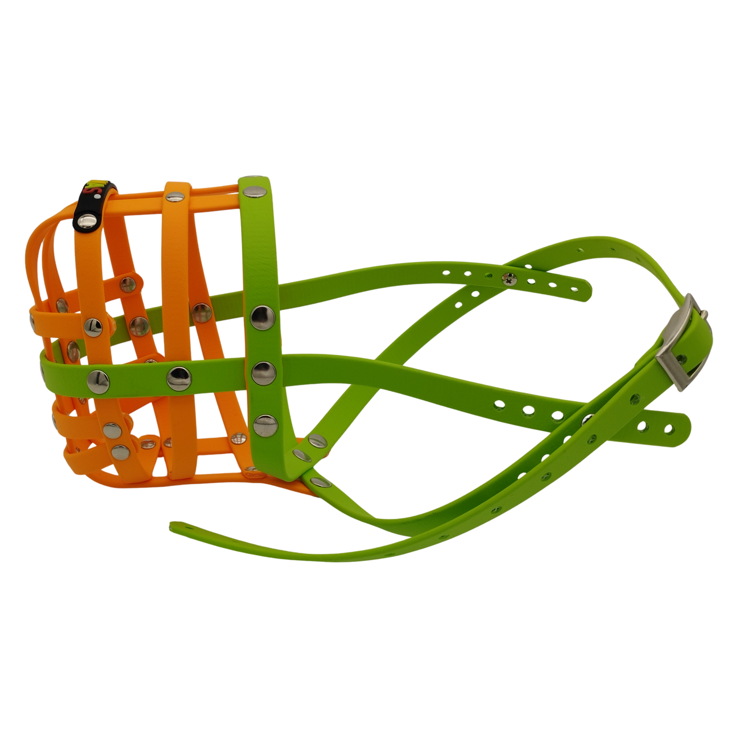 BUMAS Biothane Maulkorb für Cocker Spaniel