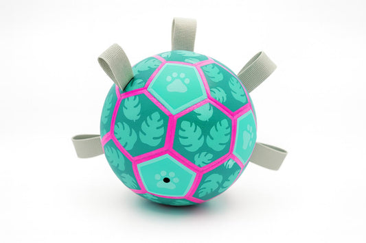 Hundespielball mit Seilen – Für Apportierspaß an Land & im Wasser