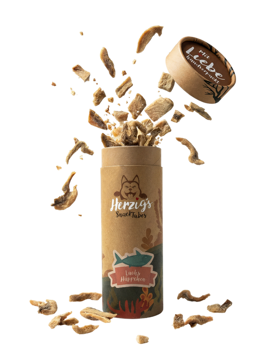 Herzig's SnackTubes Lachs Häppchen