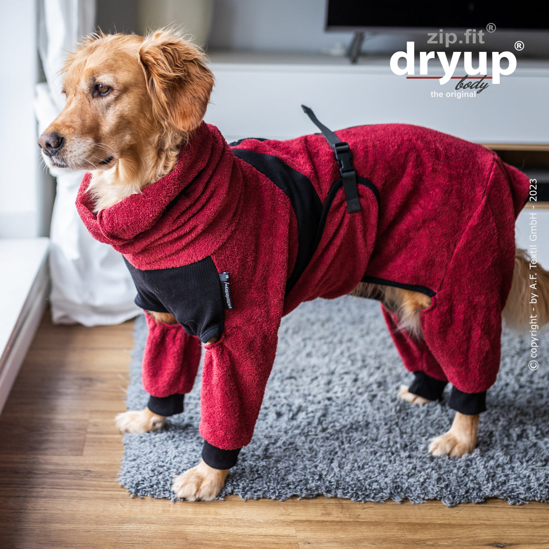 dryup® Body - Der original Hundebademantel als Body - XS-XXL