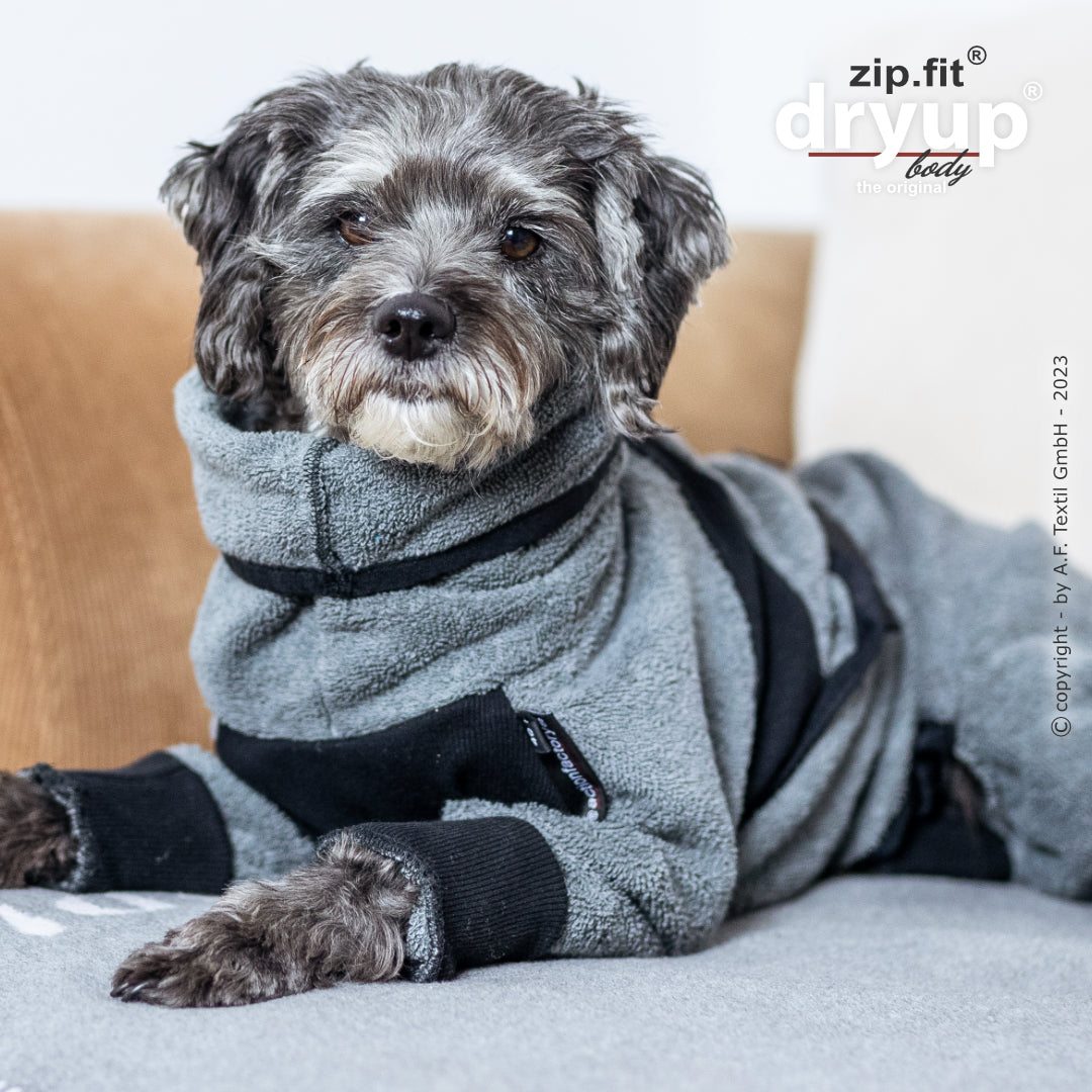 dryup® Body - Der original Hundebademantel als Body - mini