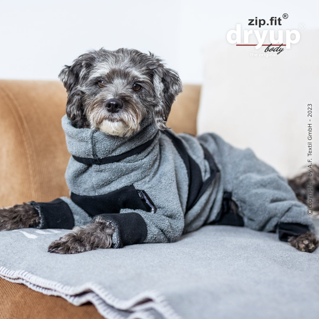 dryup® Body - Der original Hundebademantel als Body - mini