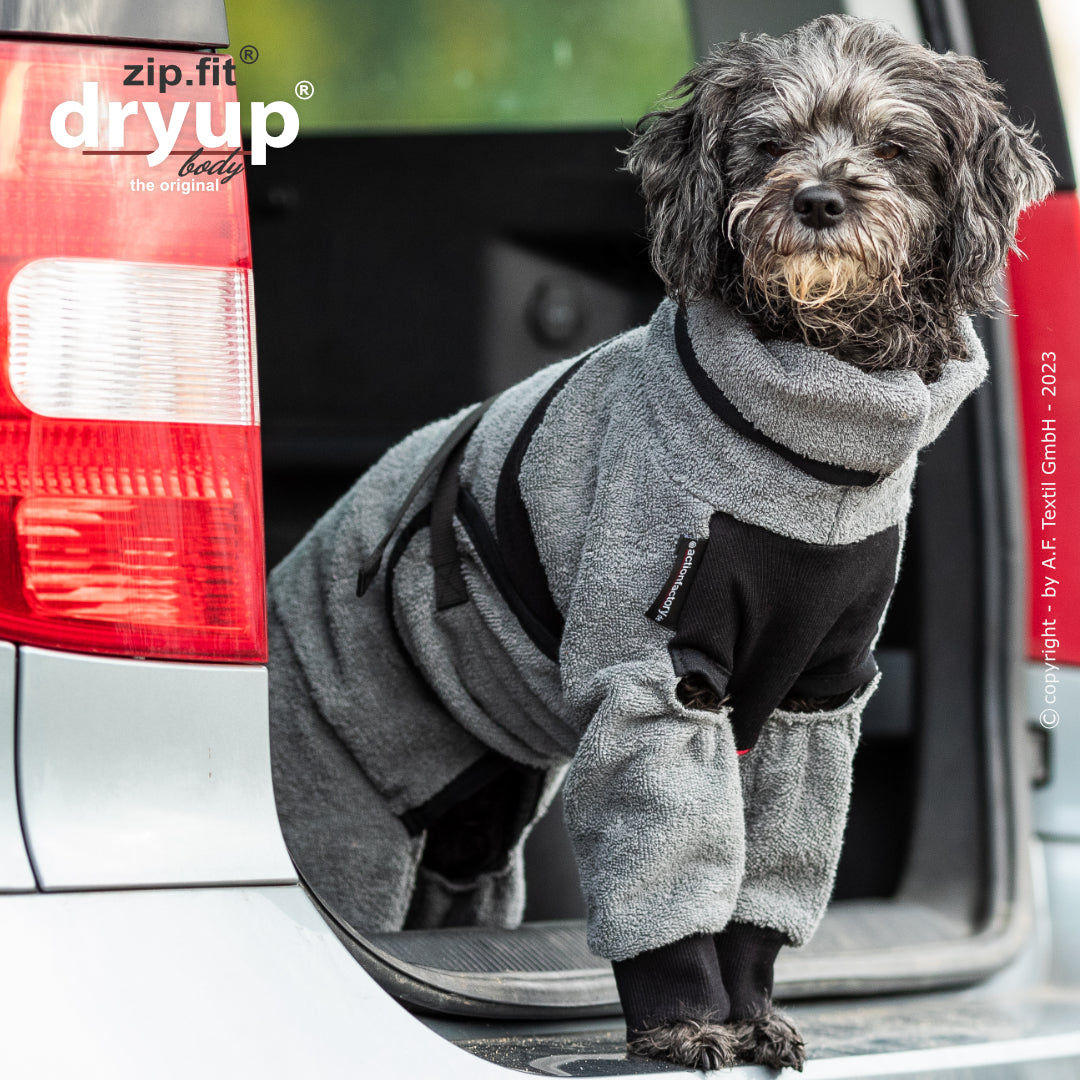 dryup® Body - Der original Hundebademantel als Body - mini