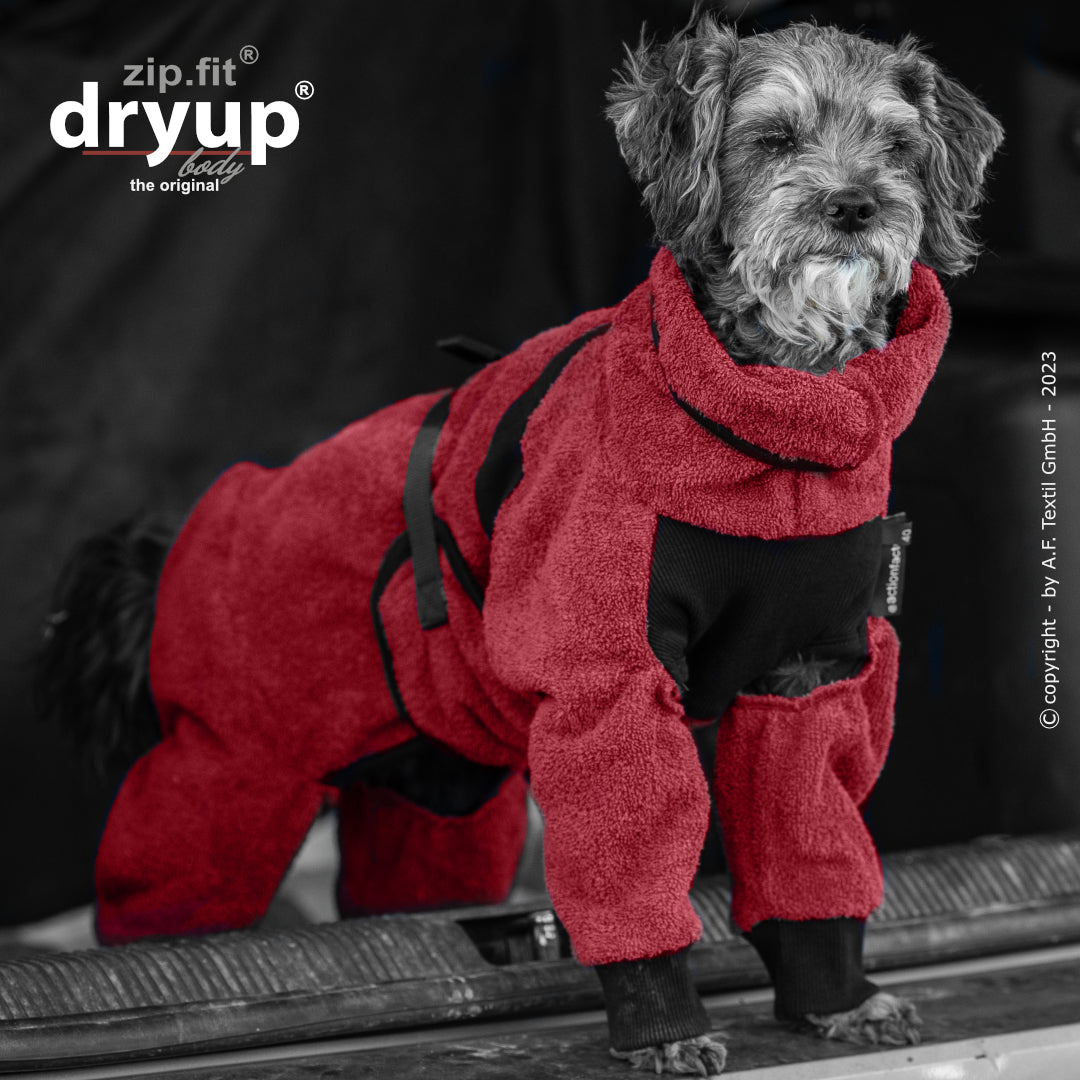 dryup® Body - Der original Hundebademantel als Body - mini