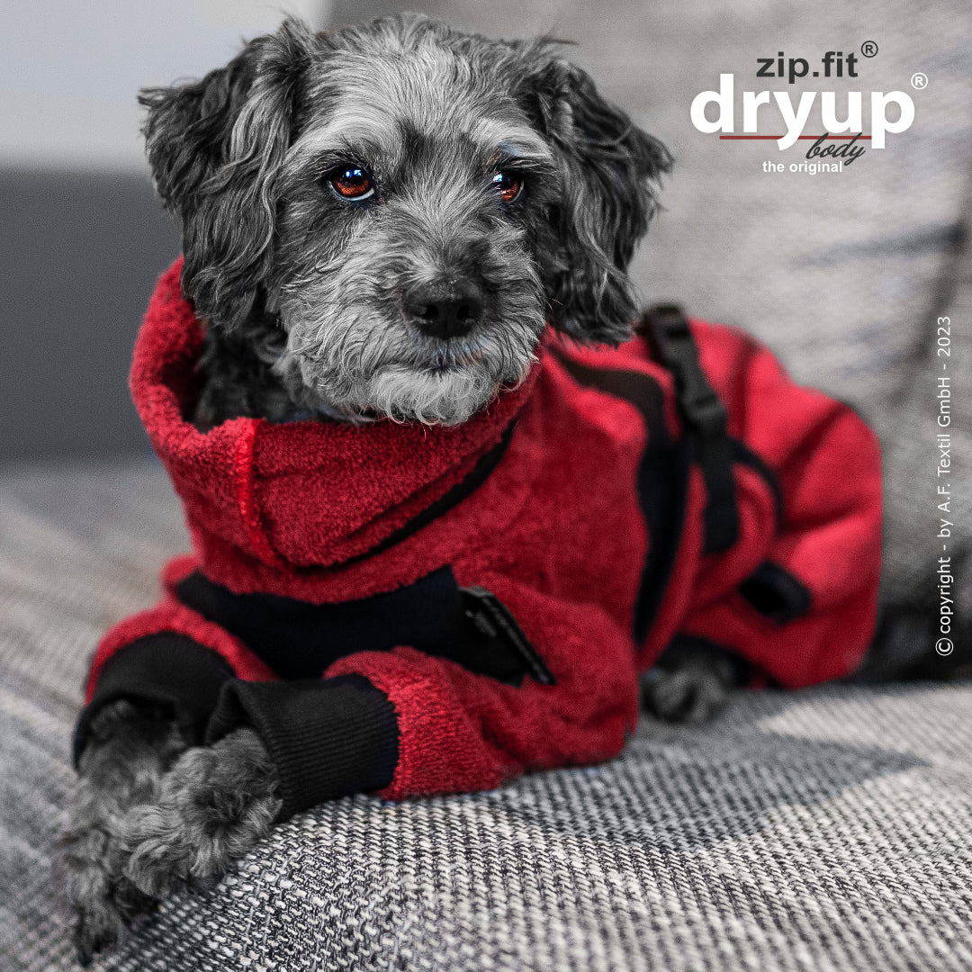 dryup® Body - Der original Hundebademantel als Body - mini