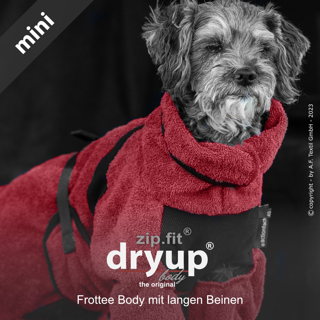 dryup® Body - Der original Hundebademantel als Body - mini