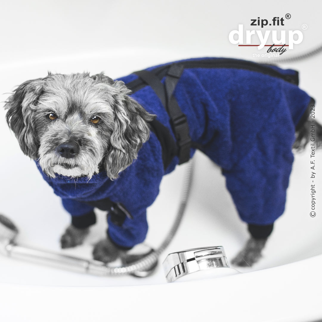 dryup® Body - Der original Hundebademantel als Body - mini