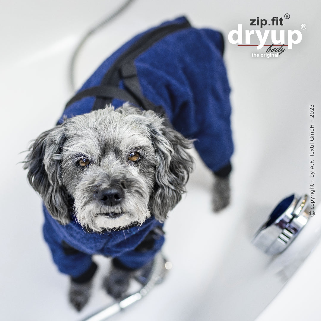 dryup® Body - Der original Hundebademantel als Body - mini