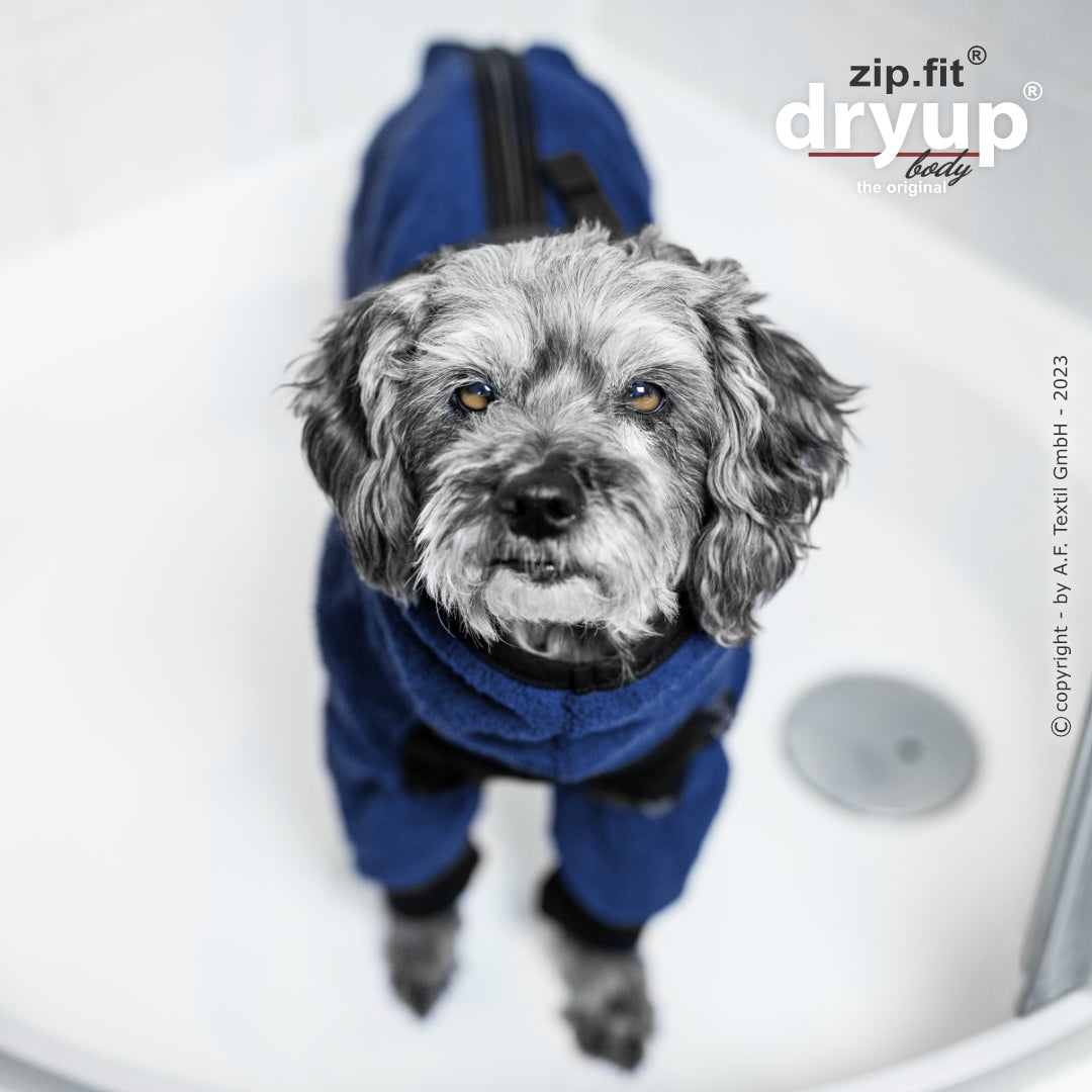 dryup® Body - Der original Hundebademantel als Body - mini