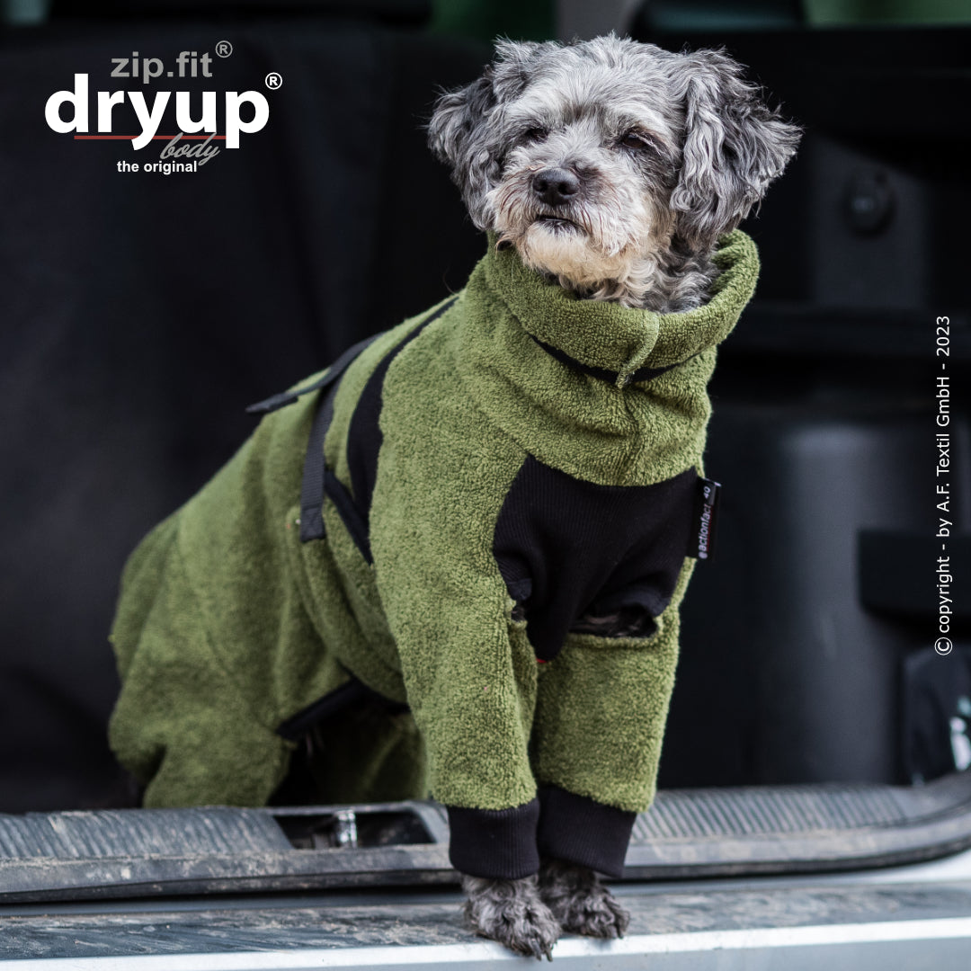dryup® Body - Der original Hundebademantel als Body - mini