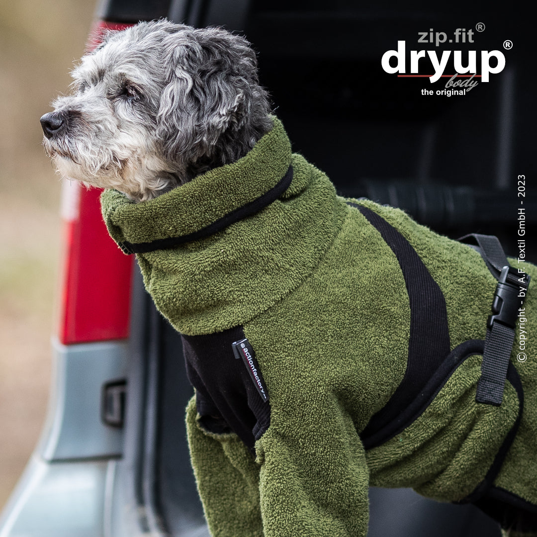 dryup® Body - Der original Hundebademantel als Body - mini
