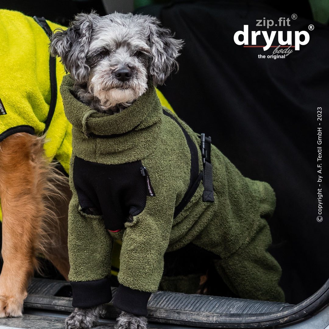 dryup® Body - Der original Hundebademantel als Body - mini