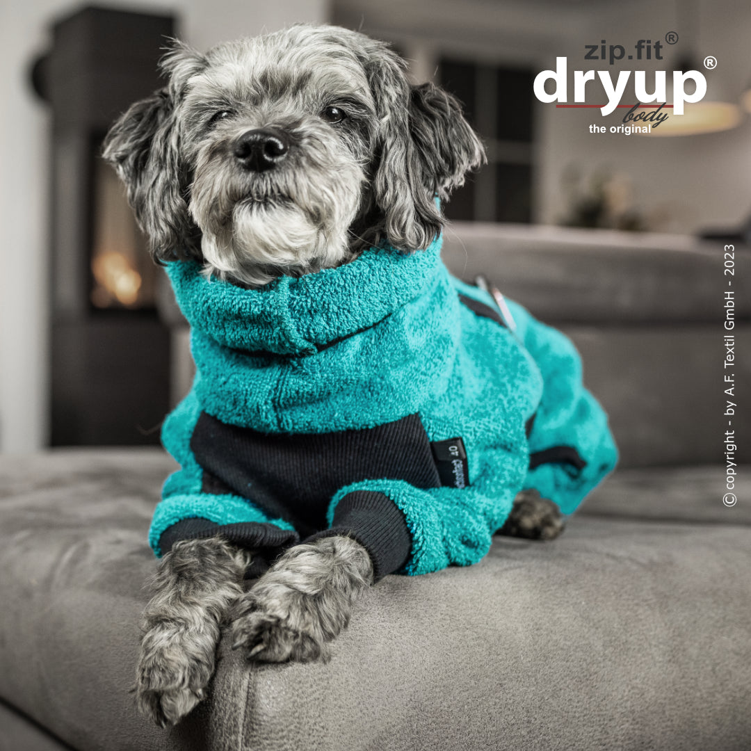 dryup® Body - Der original Hundebademantel als Body - mini