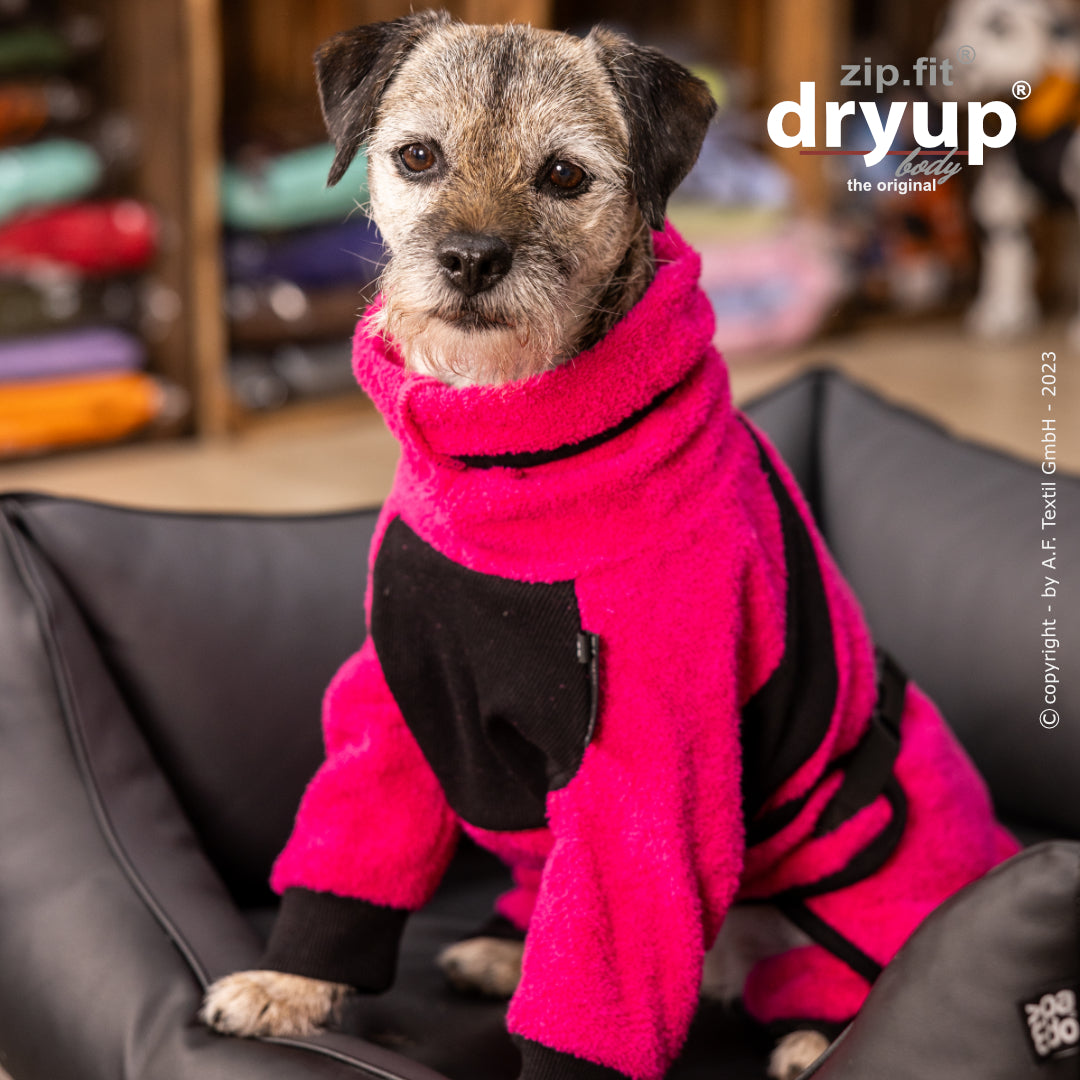 dryup® Body - Der original Hundebademantel als Body - mini