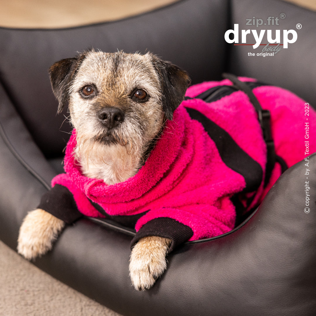 dryup® Body - Der original Hundebademantel als Body - mini