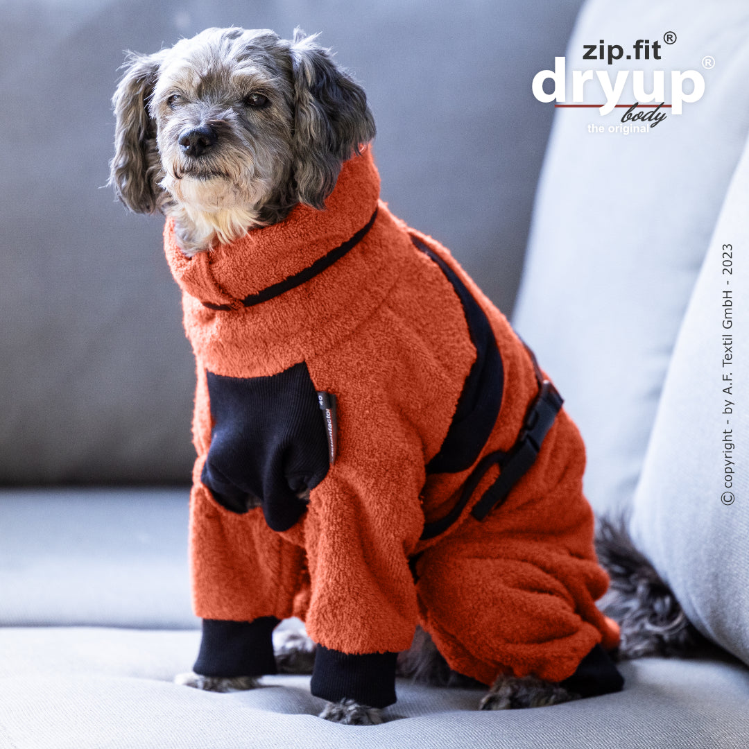 dryup® Body - Der original Hundebademantel als Body - mini