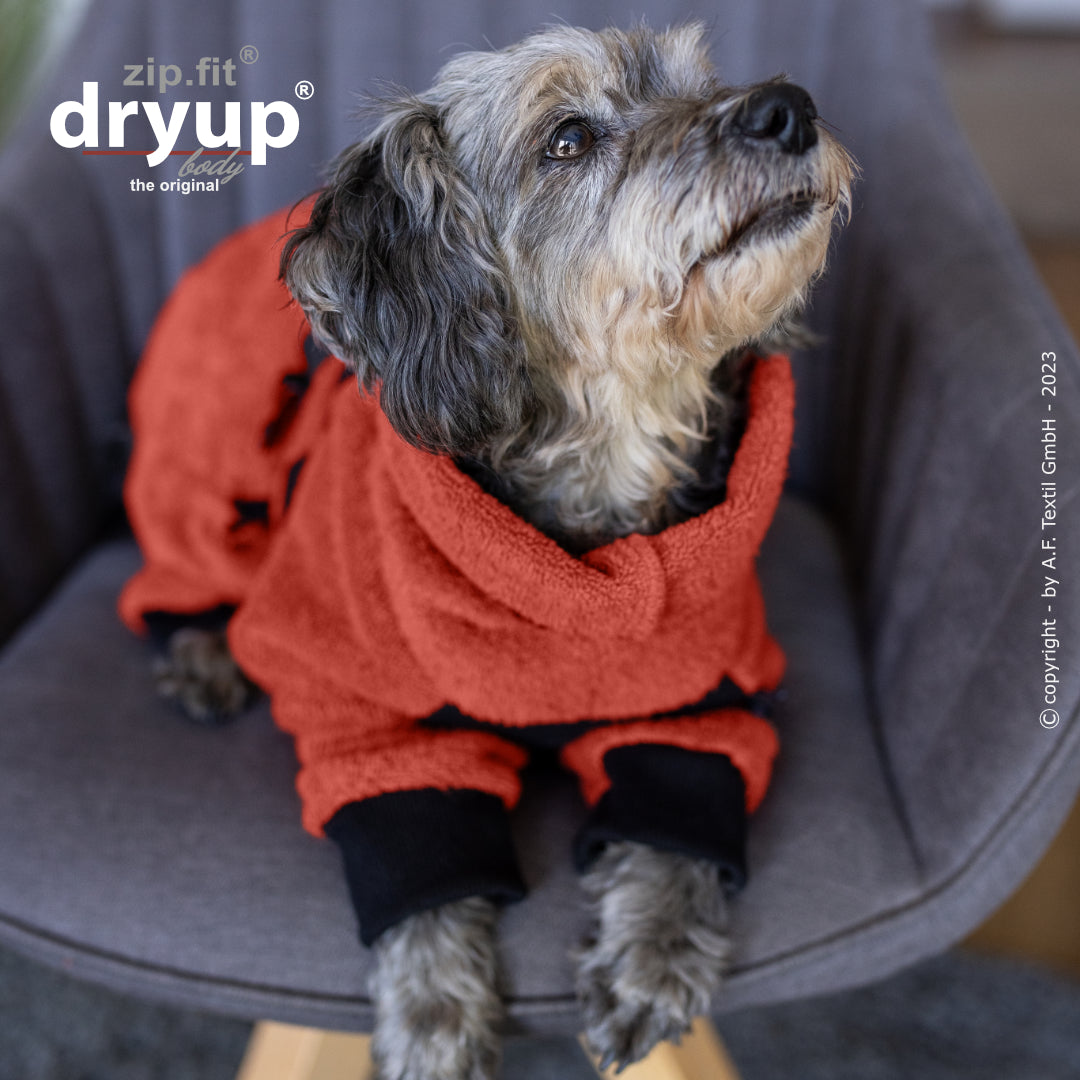dryup® Body - Der original Hundebademantel als Body - mini