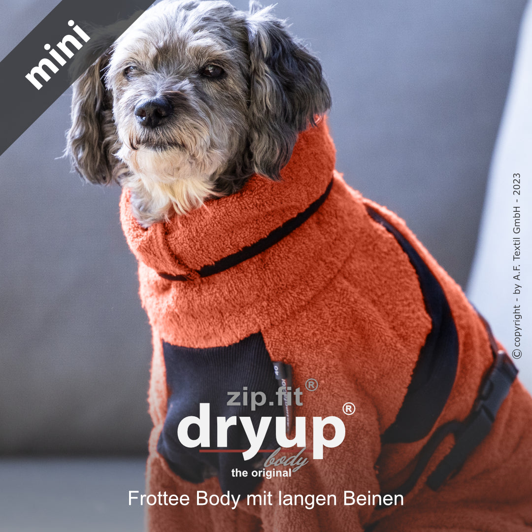 dryup® Body - Der original Hundebademantel als Body - mini