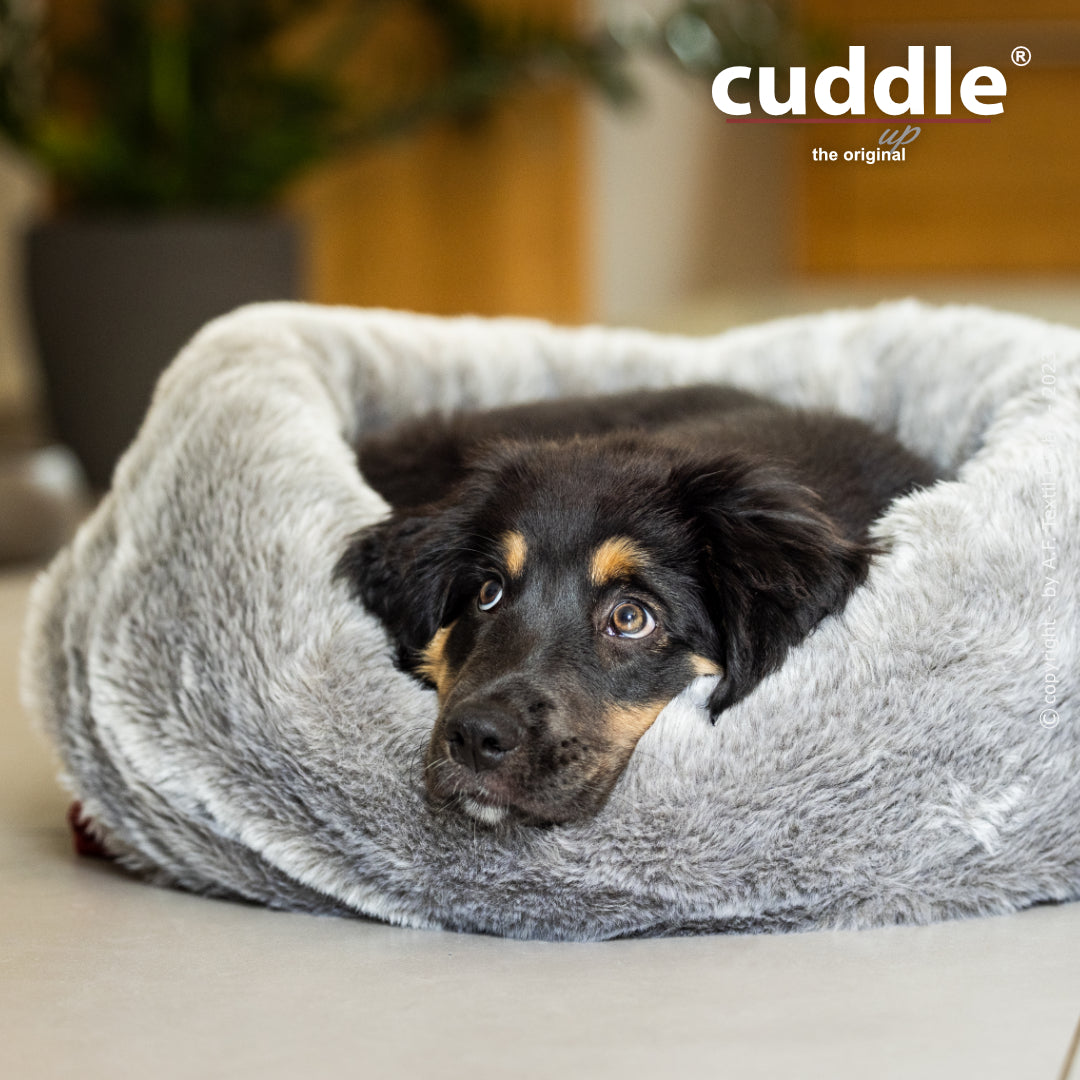 cuddle.up® - Der wandelbare Hundeliegeplatz - S-XL