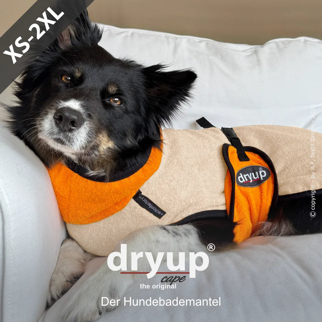dryup® cape - Der original Hundebademantel - XS-XXL