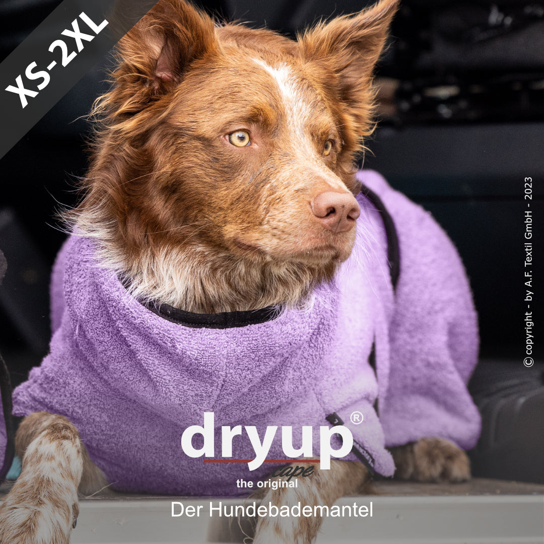 dryup® cape - Der original Hundebademantel - XS-XXL