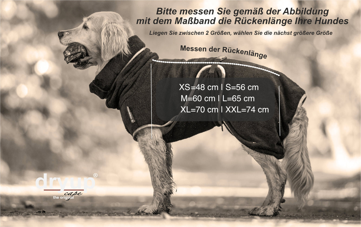 dryup® cape - Der original Hundebademantel - XS-XXL