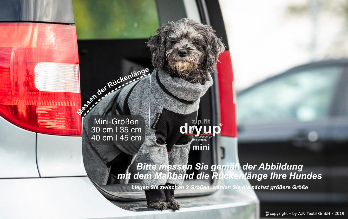 dryup® Body - Der original Hundebademantel als Body - mini