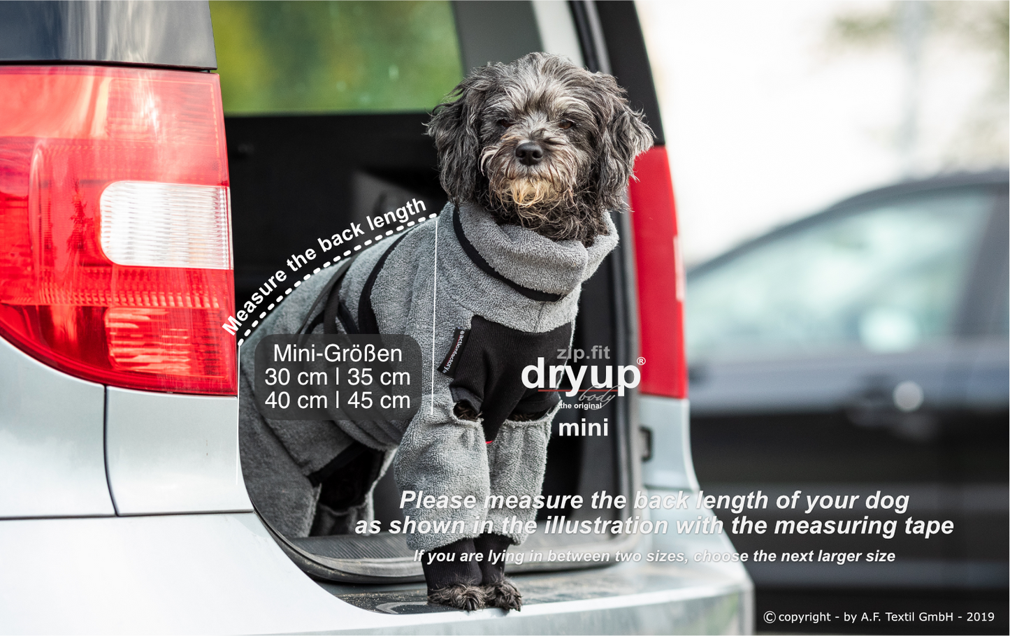 dryup® Body - Der original Hundebademantel als Body - mini