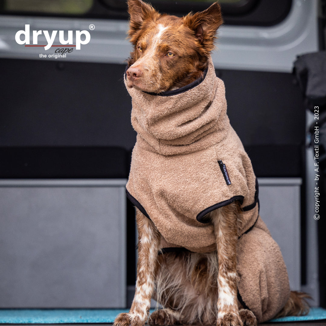 dryup® cape - Der original Hundebademantel - XS-XXL
