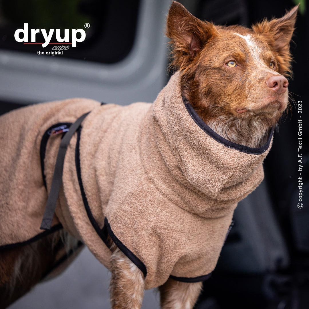 dryup® cape - Der original Hundebademantel - XS-XXL