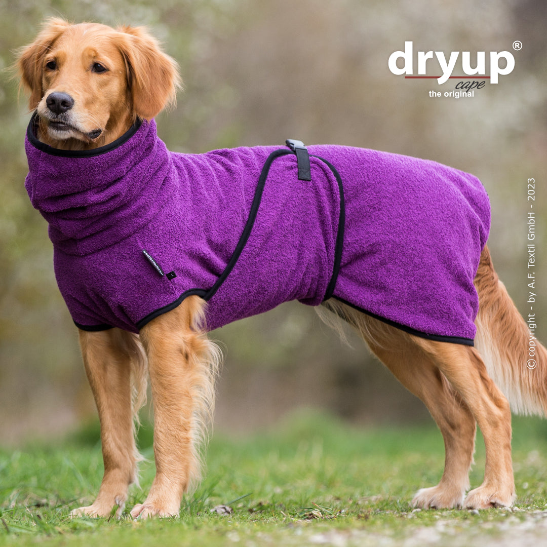 dryup® cape - Der original Hundebademantel - XS-XXL
