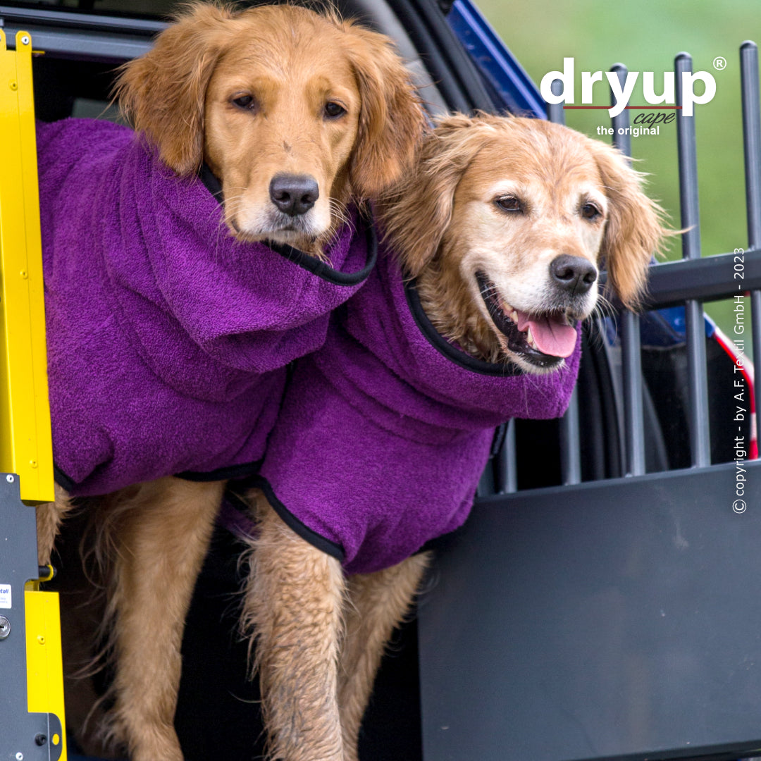 dryup® cape - Der original Hundebademantel - XS-XXL