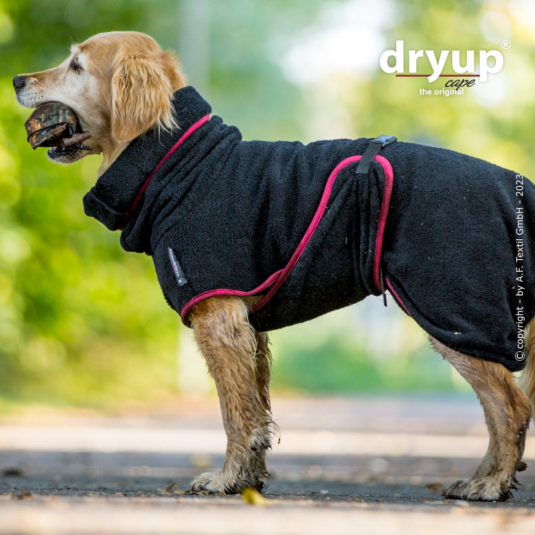 dryup® cape - Der original Hundebademantel - XS-XXL