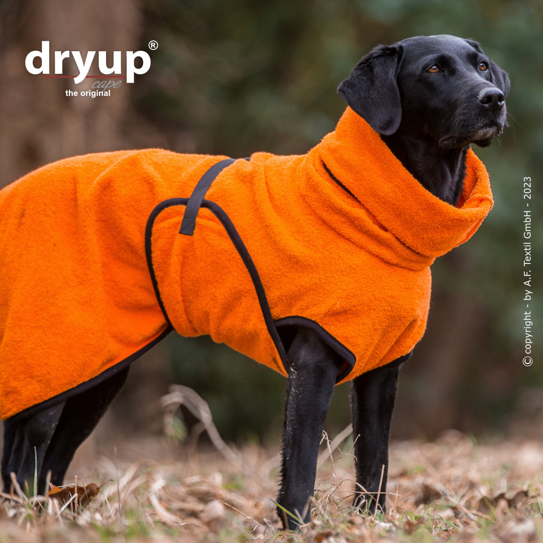 dryup® cape - Der original Hundebademantel - XS-XXL