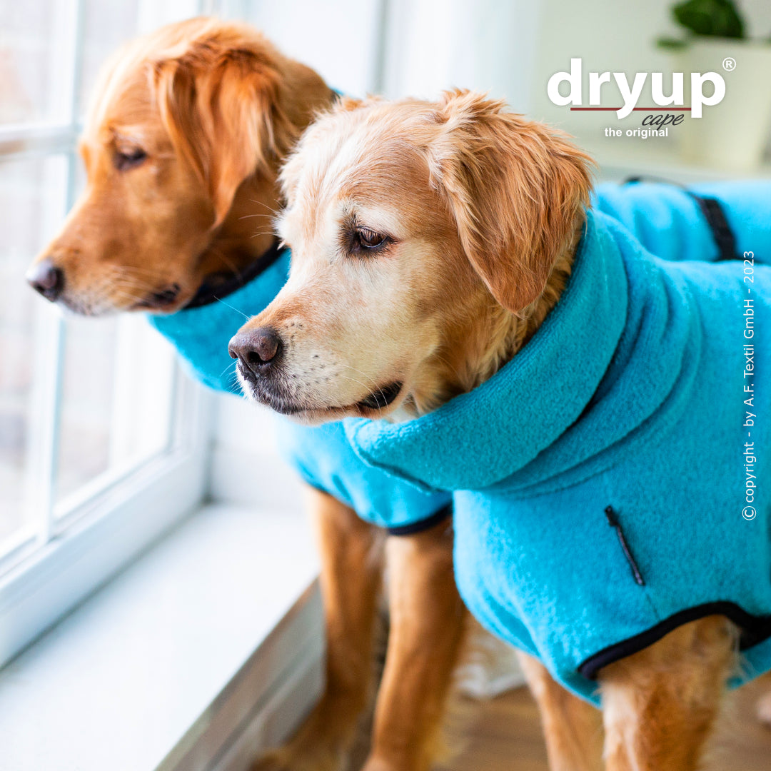 dryup® cape - Der original Hundebademantel - XS-XXL