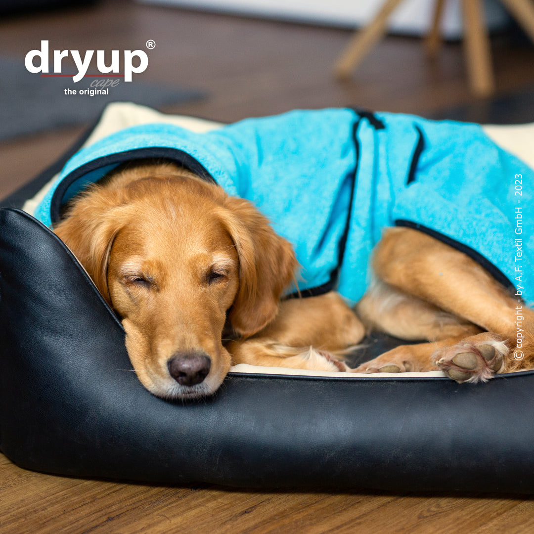 dryup® cape - Der original Hundebademantel - XS-XXL