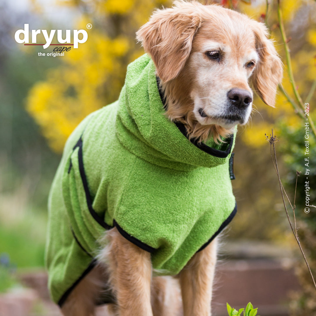 dryup® cape - Der original Hundebademantel - XS-XXL