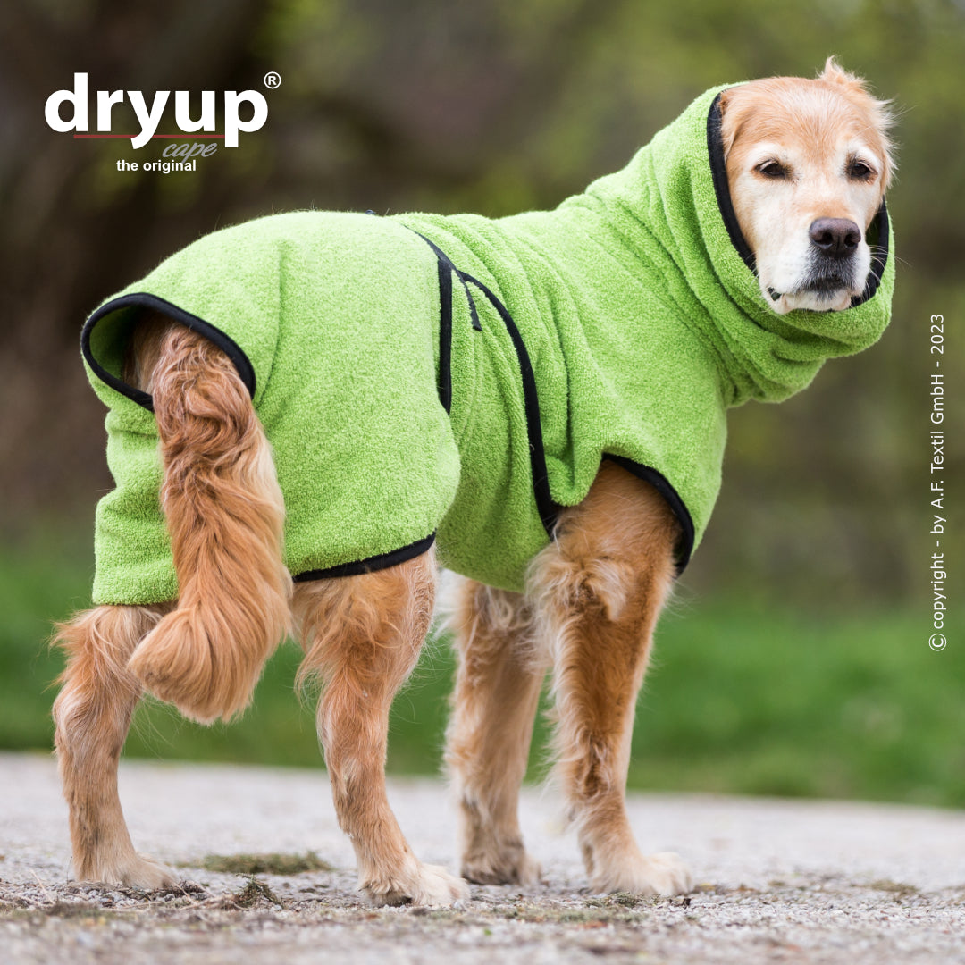 dryup® cape - Der original Hundebademantel - XS-XXL
