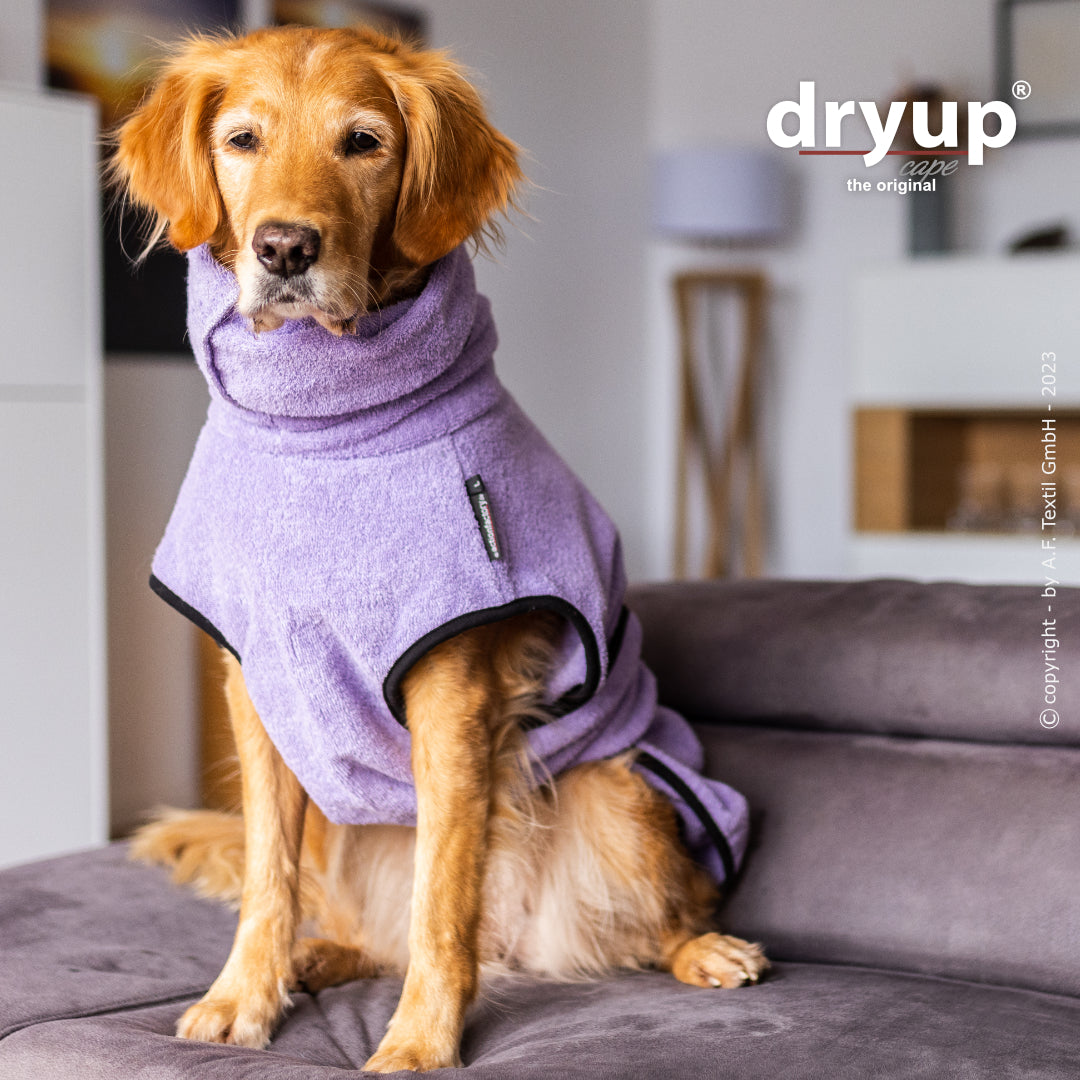 dryup® cape - Der original Hundebademantel - XS-XXL