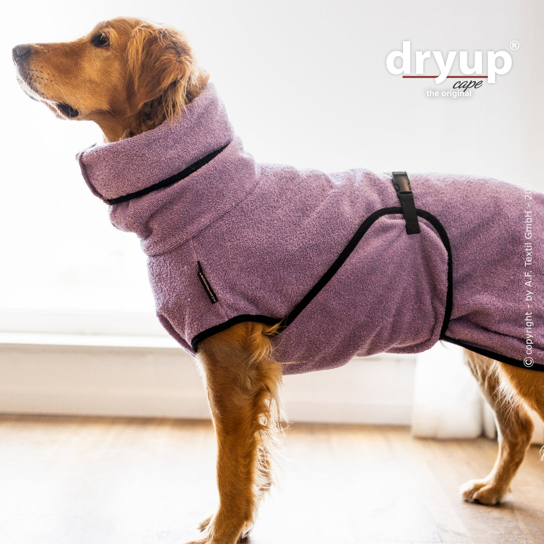 dryup® cape - Der original Hundebademantel - XS-XXL