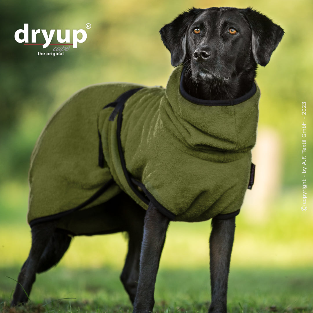 dryup® cape - Der original Hundebademantel - XS-XXL